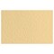 Fabriano Tiziano Drawing Paper, 20 in x 26 in, 98 lb./ 160 gsm, Pack of 10